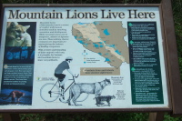 Mountain Lion Warning Plaque
