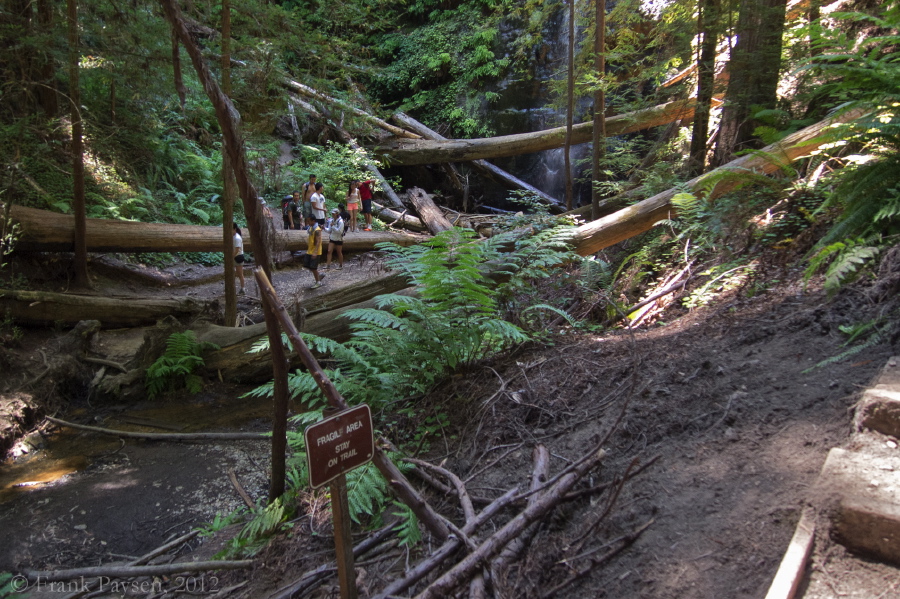 A large group explores the fragile area at the base of Silver Falls.