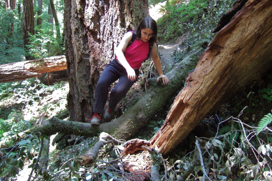 Stella swings herself over a fallen tree in one svelte move.