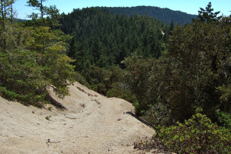 The trail descends steeply, then climbs the next high point on the ridge.