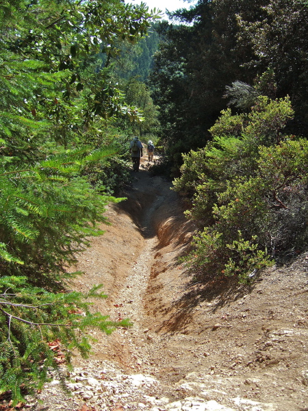 Heavily-trenched trail from horse passage