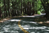 View downhill from first hairpin curve on Jamison Creek Road