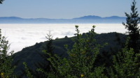 Fog over San Jose (2240ft)