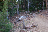 Junction of Bull Lake and Bishop Pass trails