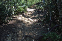 A rocky section of trail lies ahead.