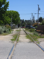 SP tracks through Santa Cruz on the Olympia line; view is south.