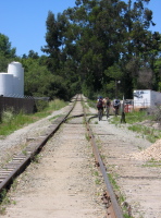SP tracks through Santa Cruz on the Olympia line; view is north.
