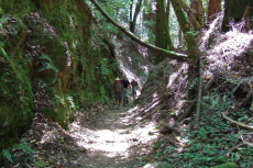 Lime Kiln Trail passes through a slot in the hill.