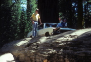 Bill, Jim, and The Buick on the log