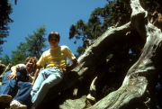 Jim and Bill on a fallen giant sequoia