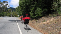 A couple of cyclists on high racers on Portola Rd. (543ft)