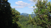 Loma Prieta summit (3791ft) from Mountain Charlie Rd. (1340ft)