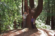 Bill and Stella at the large pine tree on the Rincon Trail
