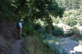Frank stops on the narrow trail above the flood zone.