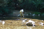 David makes the western crossing of the San Lorenzo River on the Buckeye Trail.
