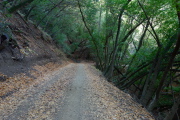 Lower end of Aquino Trail