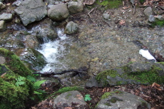 Los Trancos Creek at The Bench