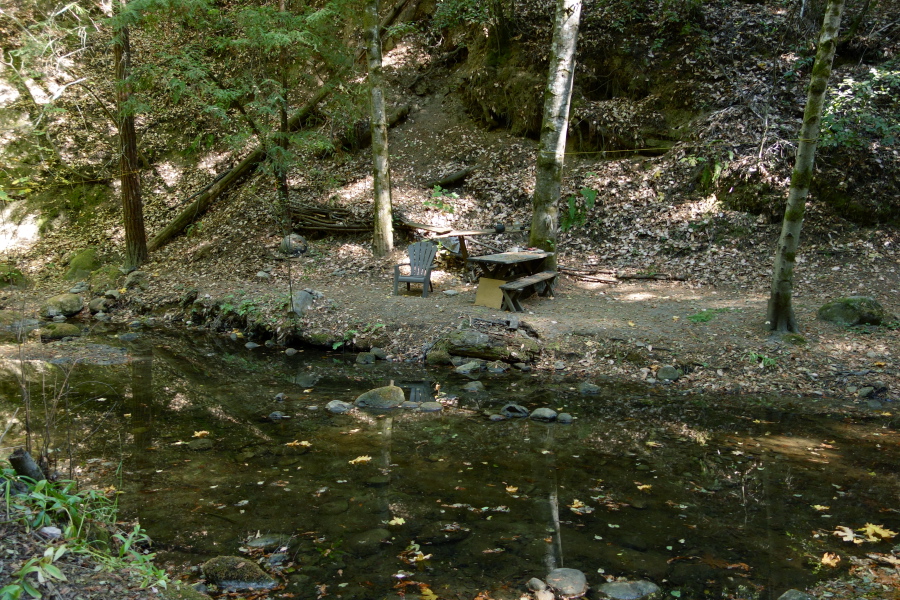 A shady picnic area along the bank of Kings Creek