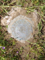 USGS Summit marker on Mt. Allison. (2659ft)