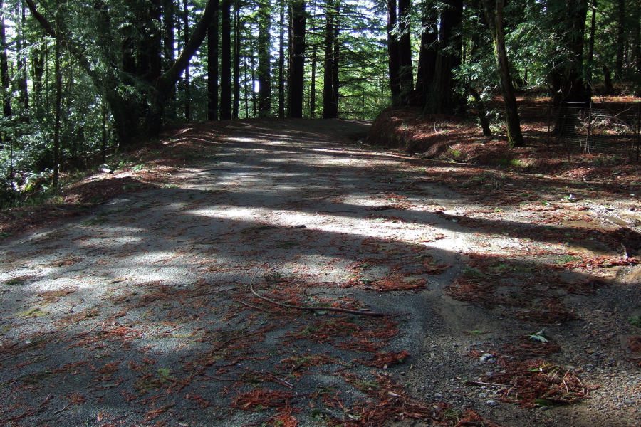 Typical section of Tunitas Creek Road