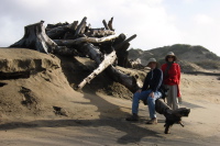 Kay and Bill and a pile of driftwood