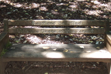 A bench on the Lonely Trail