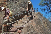 David and Ron descend the narrow stairway.
