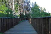 Los Gatos Creek Trail is jerrymandered through Los Gatos, crossing the creek several times.
