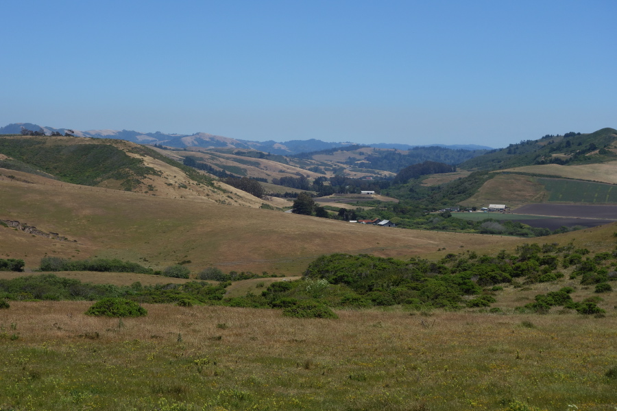 San Gregorio Valley from Stage Road (1)
