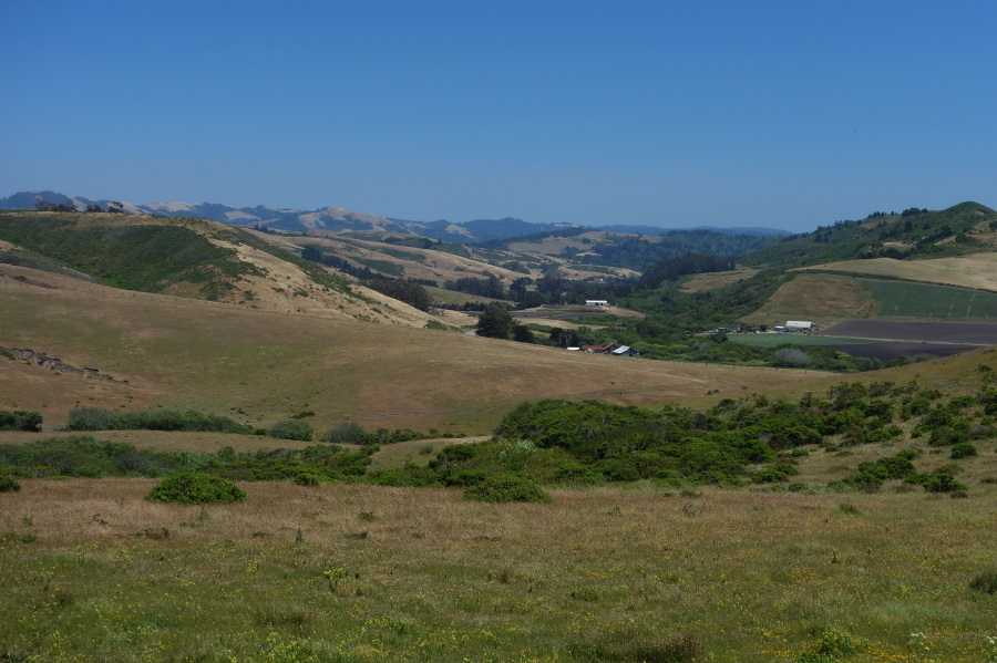 San Gregorio Valley from Stage Road (2)