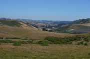 San Gregorio Valley from Stage Road (1)
