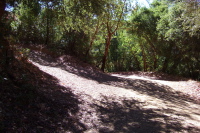 Woods Trail and Barlow Rd. (left)