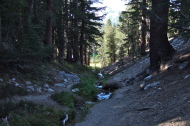 The trail runs alongside Coldwater Creek down to Emerald Lake.