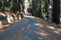 Star Hill Rd., lower part (1350ft)