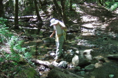 David crosses Stevens Creek on the Lower Table Mountain Trail