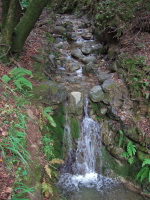 Los Trancos Creek cascade