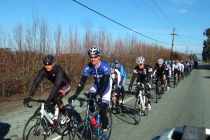 Passing the group on Fairview Road. (14)
