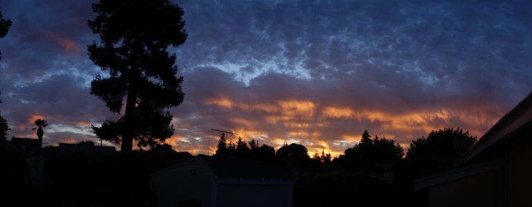 Sunrise over backyard - 8/2013
