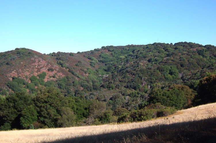 Black Mountain from Adobe Trail.