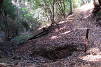 The trail climbs steeply from the creek.