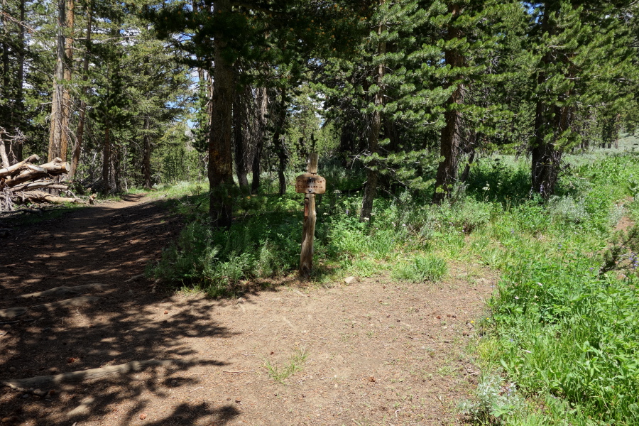 Trail forks: left goes to River Trail and Thousand Island Lake, right goes to Agnew Pass