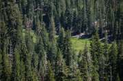 A glimpse of Agnew Meadow below