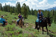 We waited patiently off the trail while the horseback riders went by.