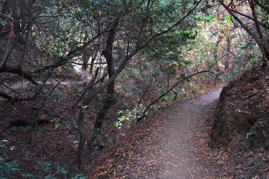 New Almaden Trail dips and rises many times.