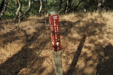 Junction of New Almaden and Buena Vista Trails