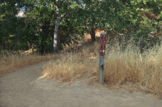 Junction of New Almaden and Hacienda Trails