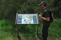 Gino reads the mountain lion warning plaque.
