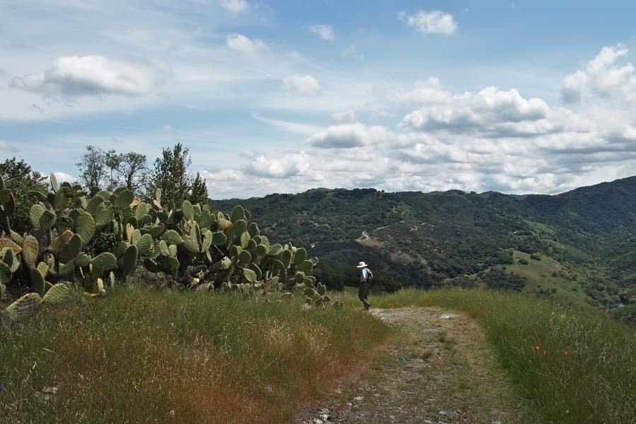 Bill presses on down the Hidalgo Cemetary Trail.