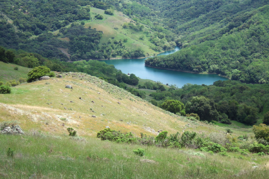 Almaden Reservoir