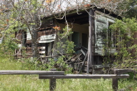 Dilapidated Shack at Spanish Town